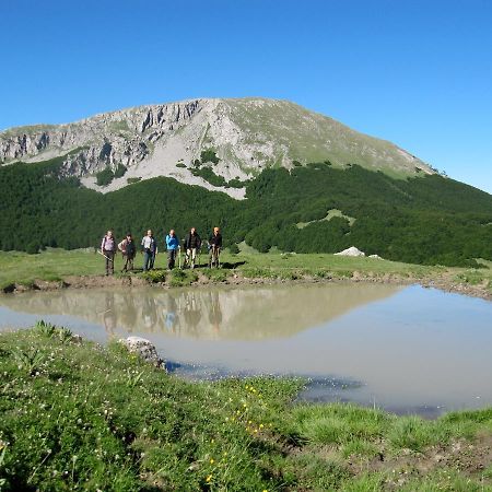 B&B Sole Del Pollino Rotonda Exterior photo